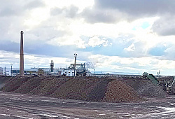 На Раевском сахарном заводе произведено более 50 тысяч тонн сахара